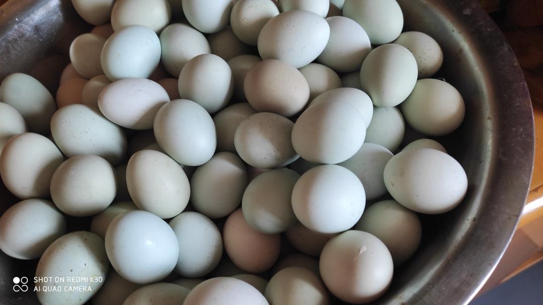 就像有句话所说：成年人的世界里，从来就没有“容易”二字。很多时候，你只能单枪匹马，直面生活的兵荒马乱。