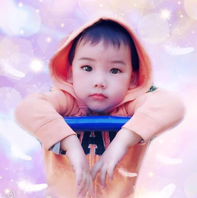 小灰鱼儿
