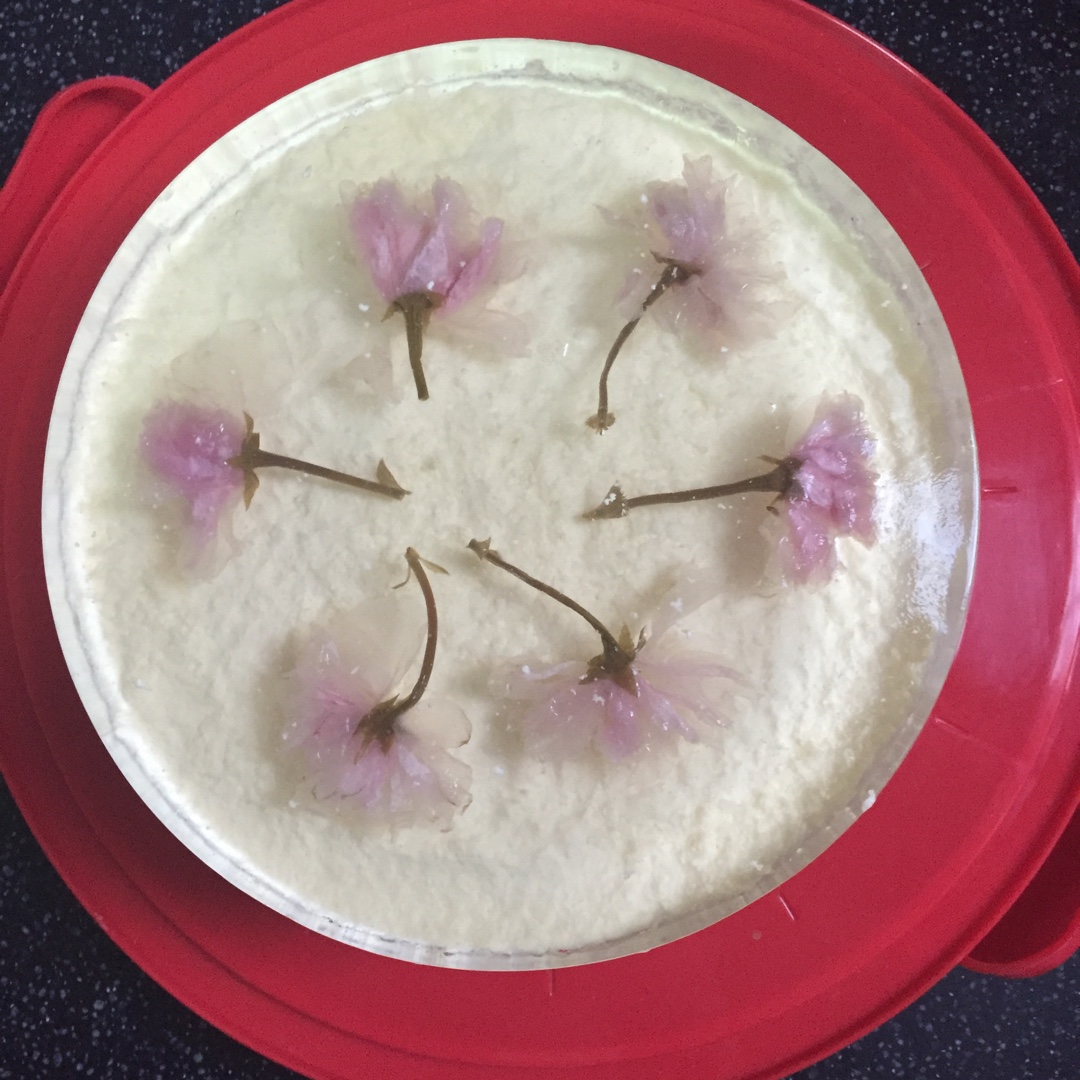 樱花渐变慕斯蛋糕（6寸）