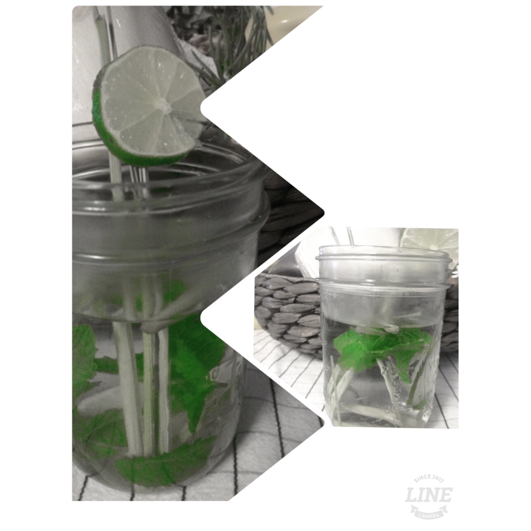 柠檬草薄荷茶