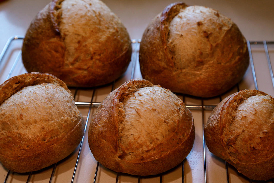波兰种欧包&鲜酵母欧包