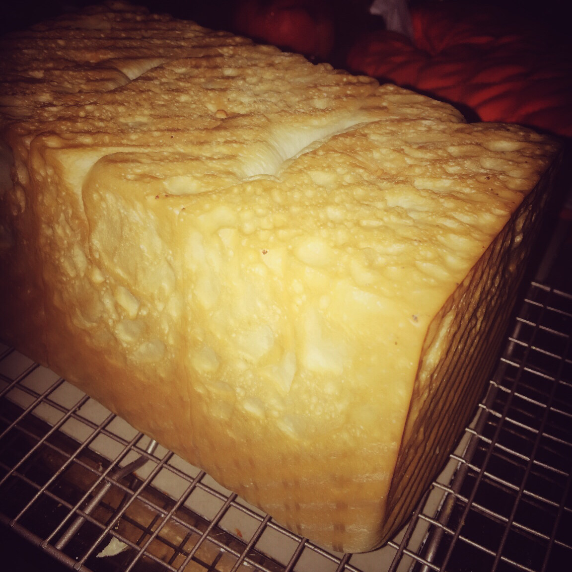 玉米油版一次性发酵吐司