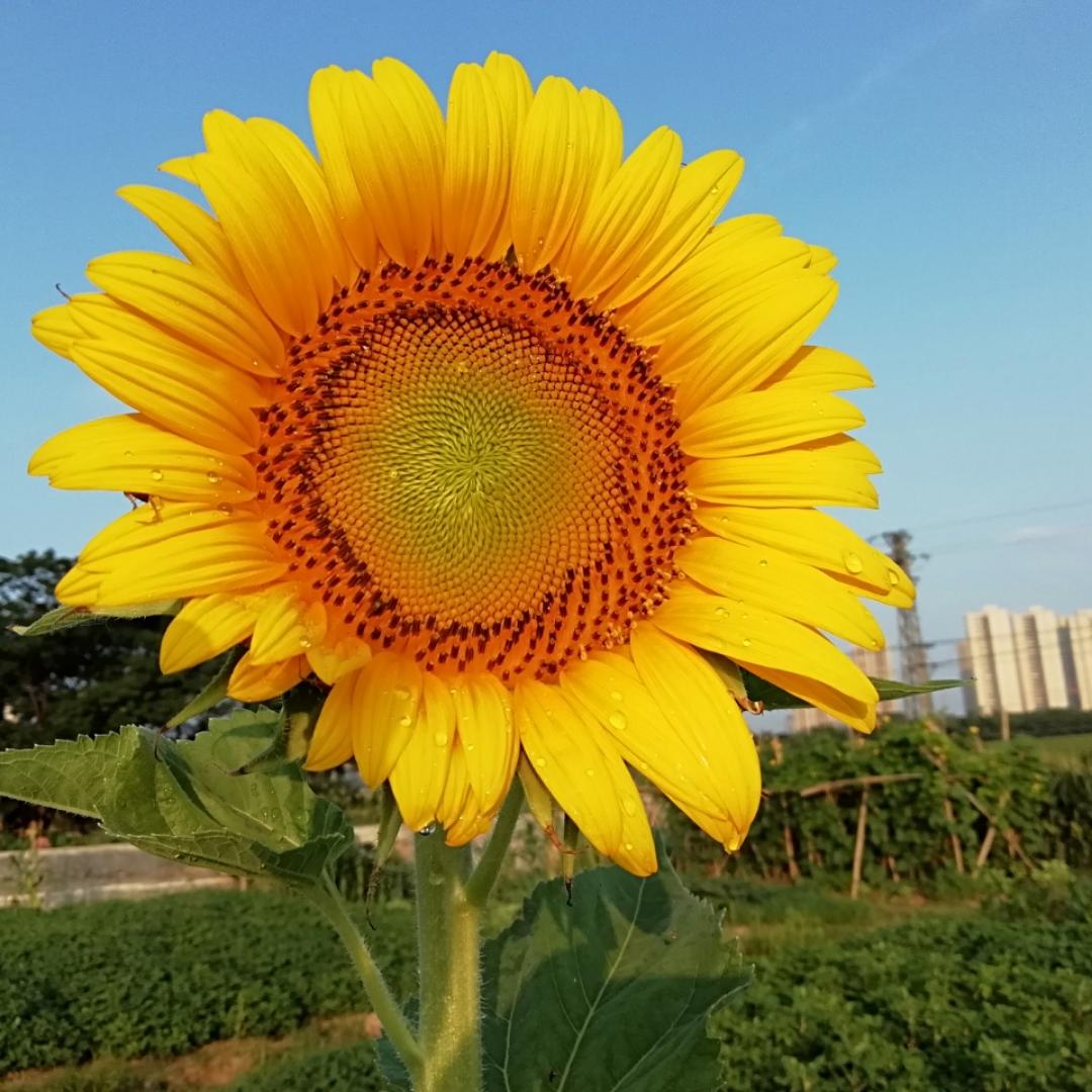 小熊小熊123