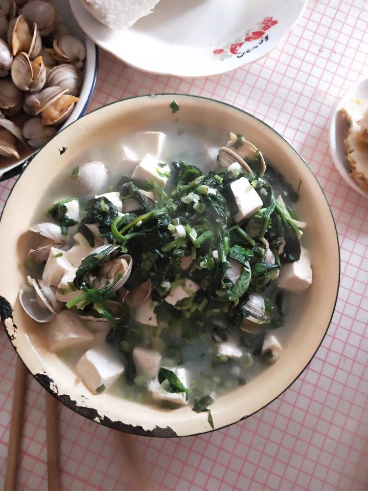 超级鲜美的白蛤豆腐汤