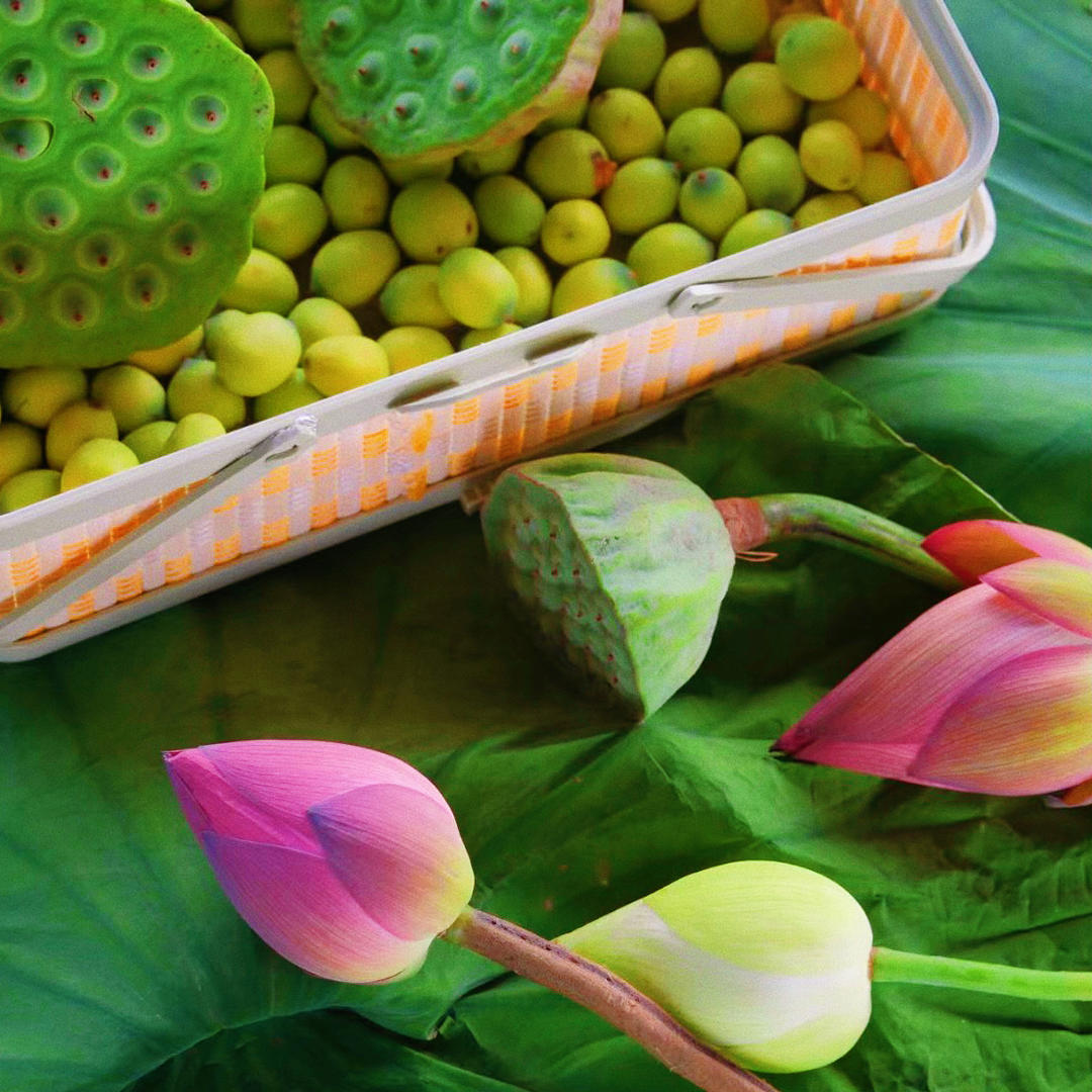 莲花•莲蓬•莲子【原食材生吃】的做法