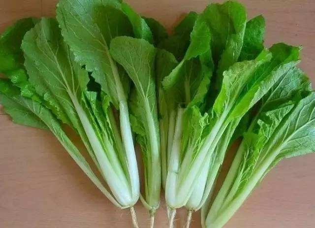 宿舍小电锅--养身减肥青菜汤