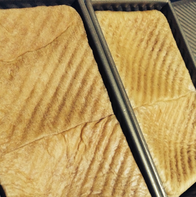 晚餐•2015年2月1日