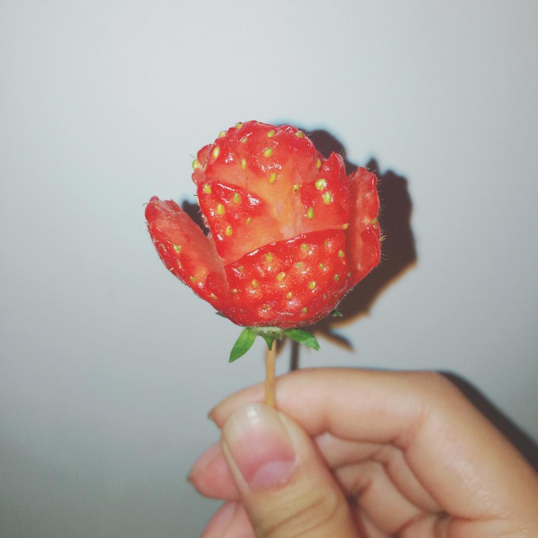 玫瑰花草莓