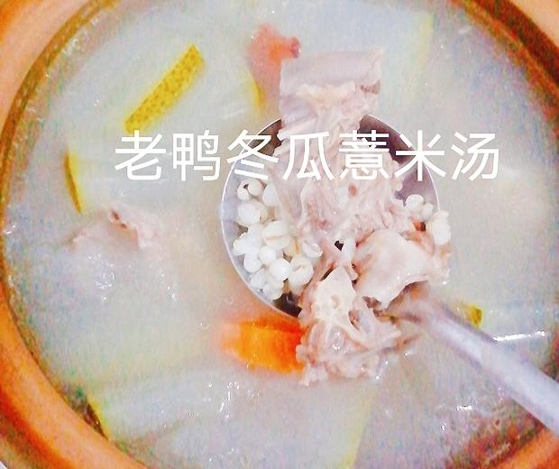 祛湿汤首选！老鸭冬瓜薏米汤的做法