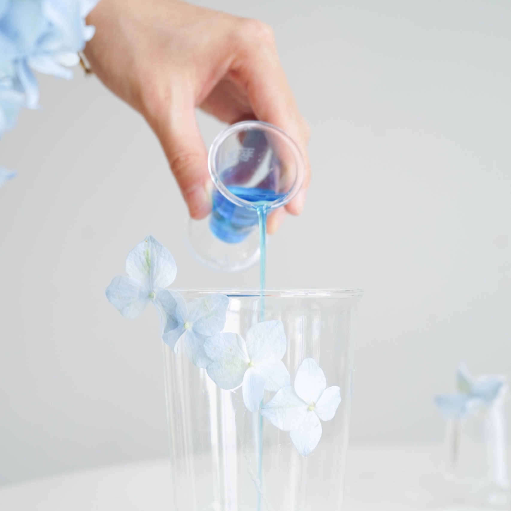 解锁夏日清凉饮品 梦幻蓝色荔枝气泡水的做法 步骤2