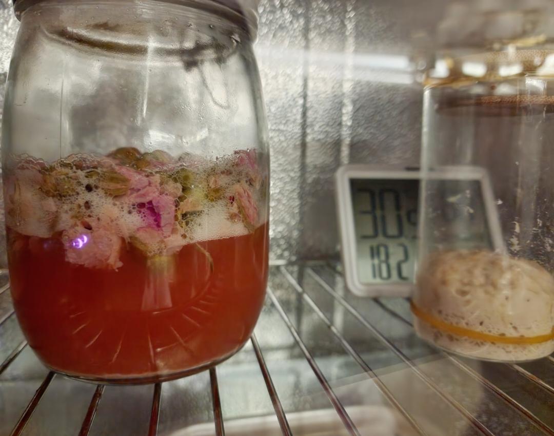 自制玫瑰酵母液
