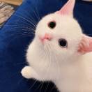 有点小懒的爱做饭上班族