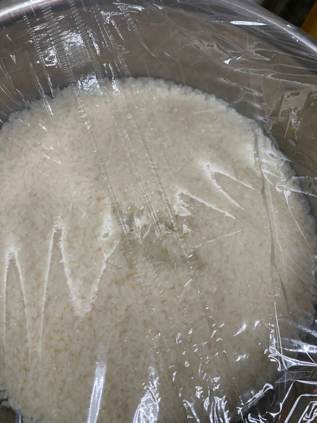 酒酿 (酒酿系列一）