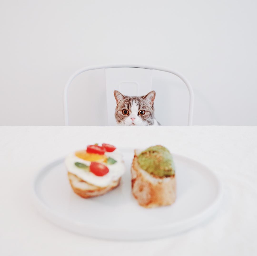 Tartine（开放式三明治）公式