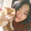 怡月如溪