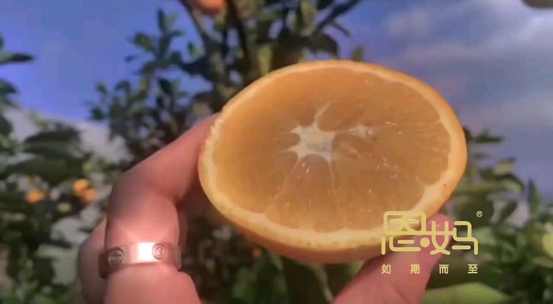 香草精的做法
