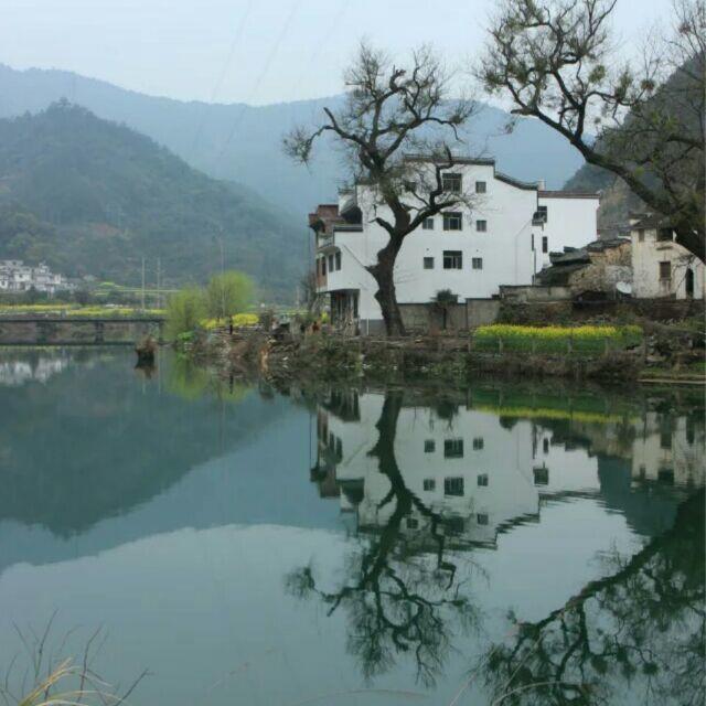 盼你在此2013