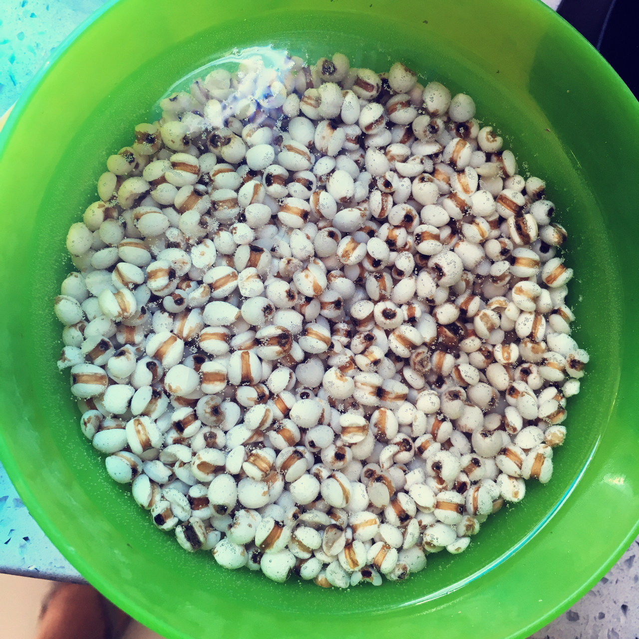 懒人神仙薏米水