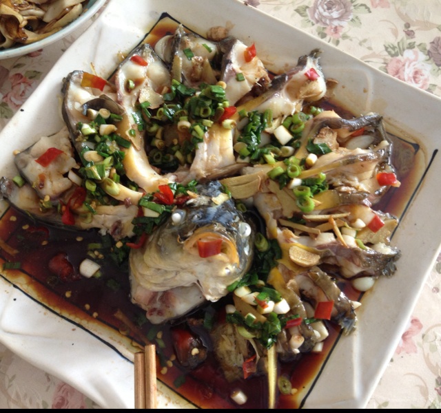 孔雀开屏鱼