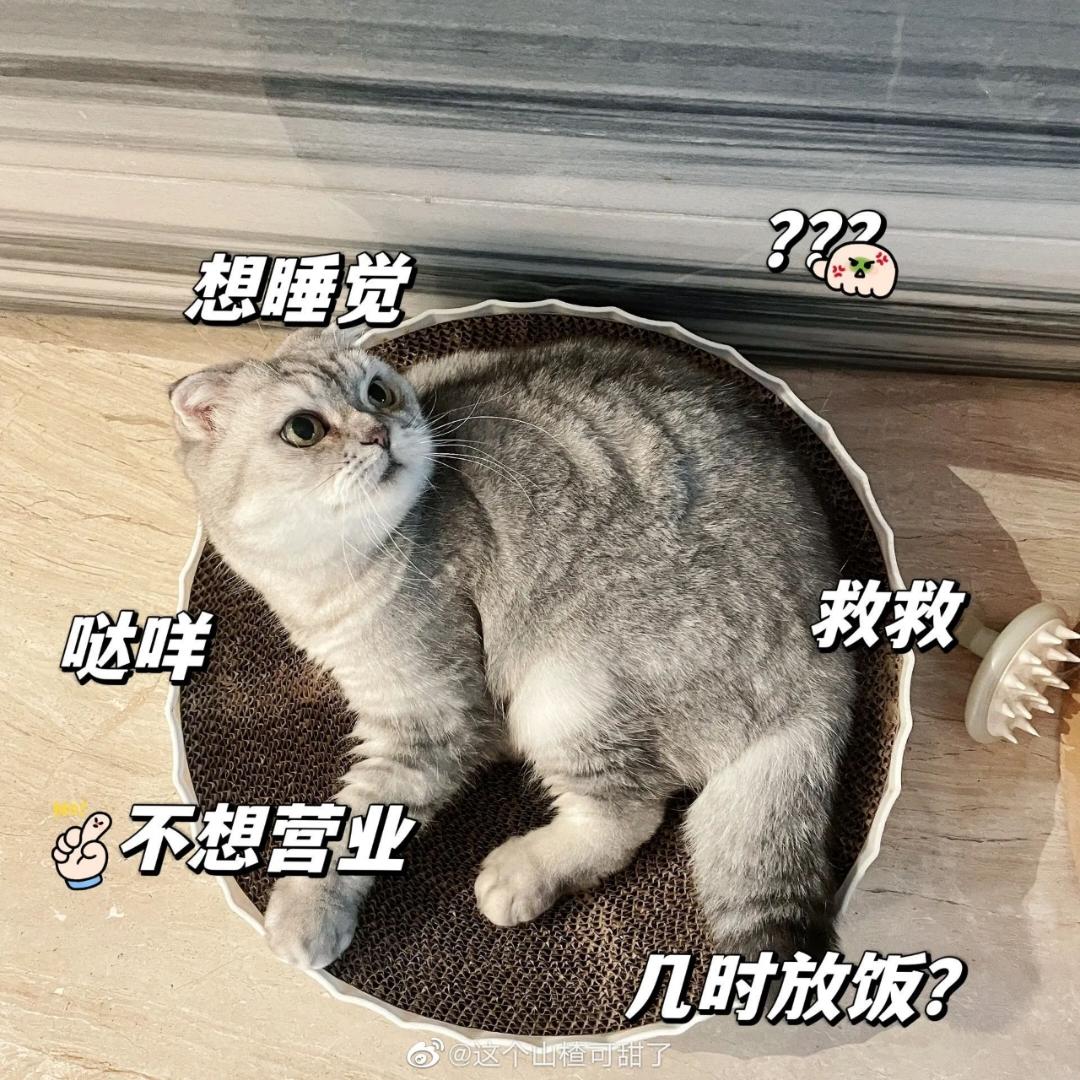 天天都是星期天