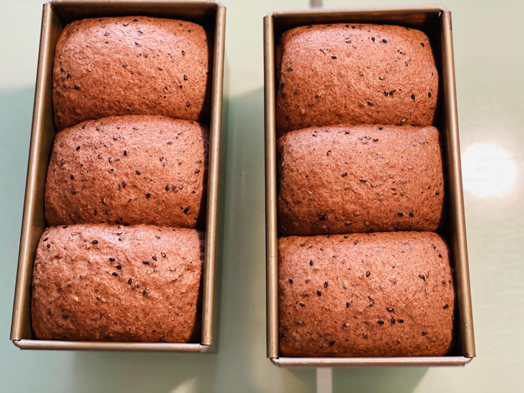 双种芝麻全麦吐司 100%全麦 烫种+波兰种