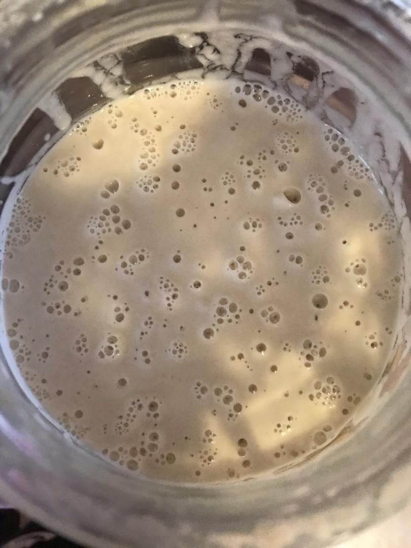 养了一年鲁邦种喂养日志