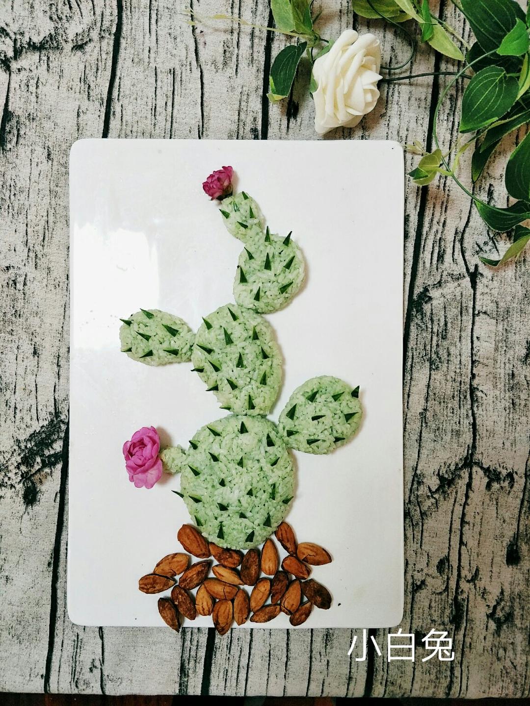 仙人掌🌵饭团🍙