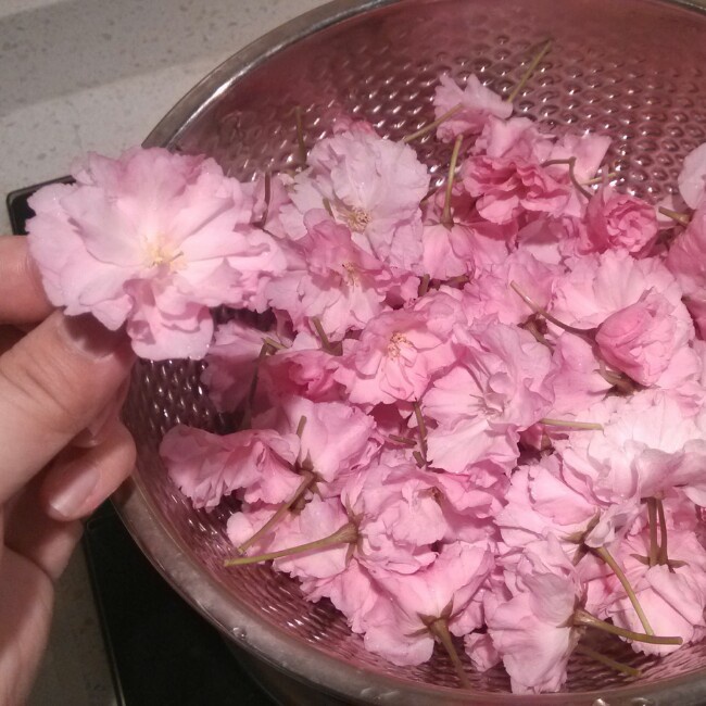 盐渍樱花