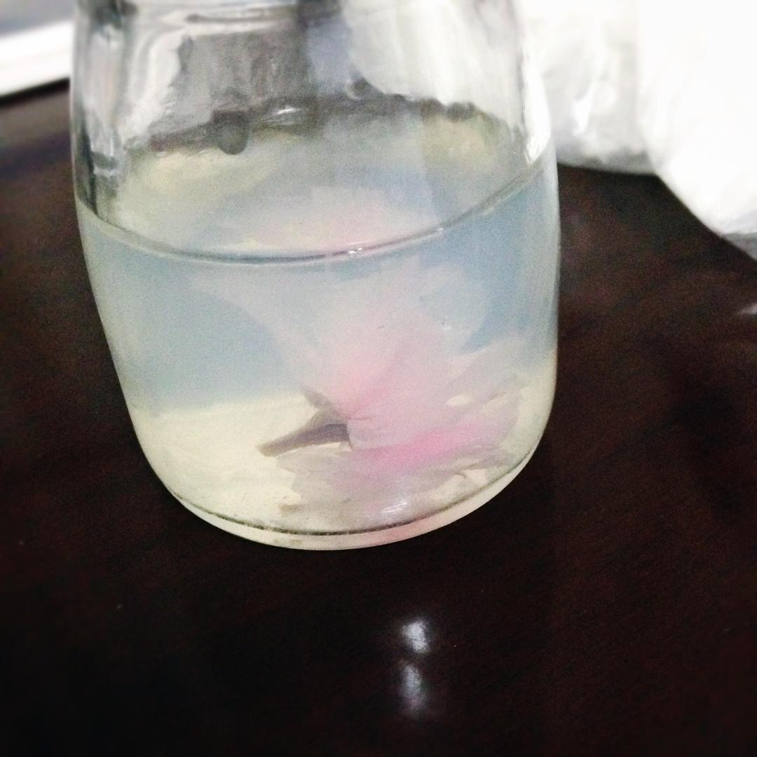 樱花布丁     by秋生饭堂