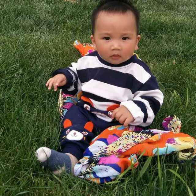 HOliday菩提本无树