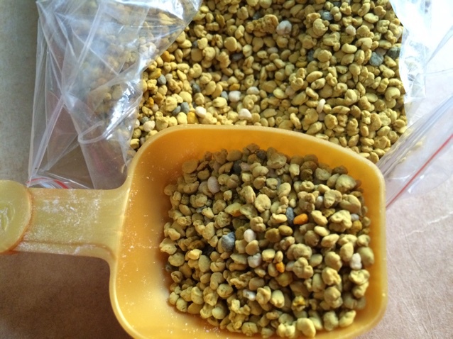 金黄色的是油菜花粉,里面少量杂色是与油菜花期相同的蚕豆花粉豌豆