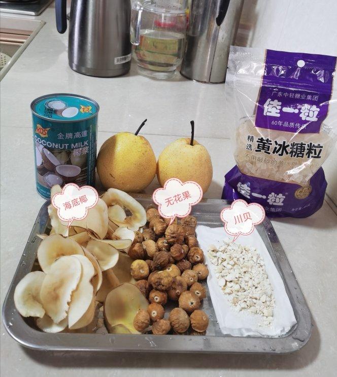 网红海底椰无花果雪梨膏