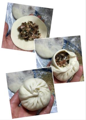 芽菜肉末烧饼的做法 步骤6