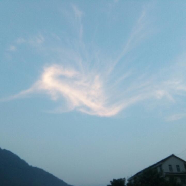 _j4平安是福w3