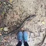 陈橙Ccc