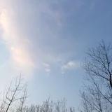小蕊蕊美食记