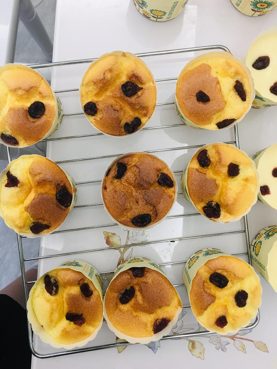 蔓越莓纸杯蛋糕🧁（简单不翻车）