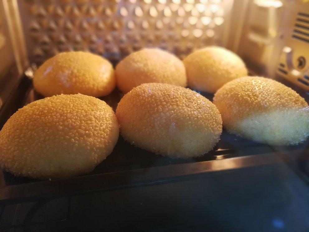 汉堡胚 poolish（波兰种）