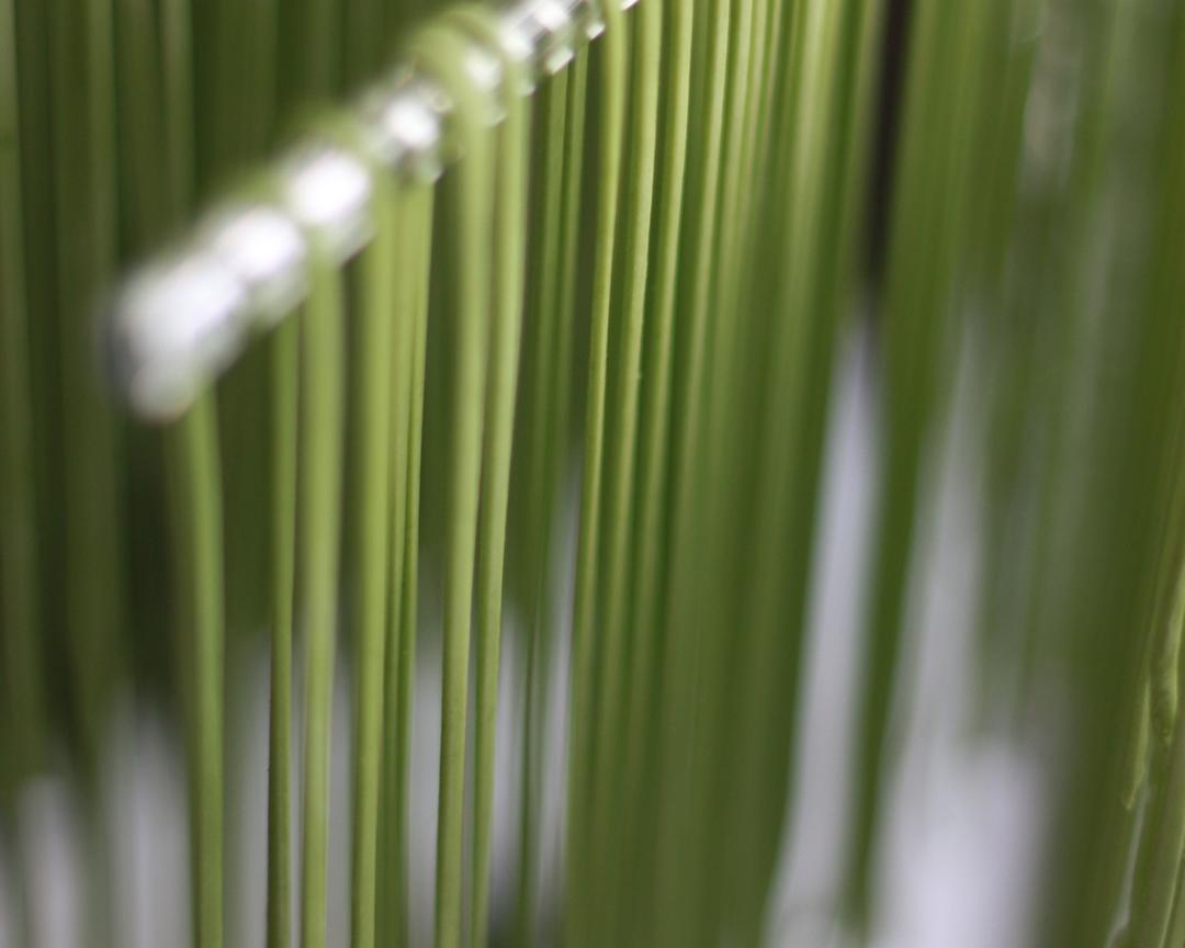 Ka面条机配件—菠菜面的做法