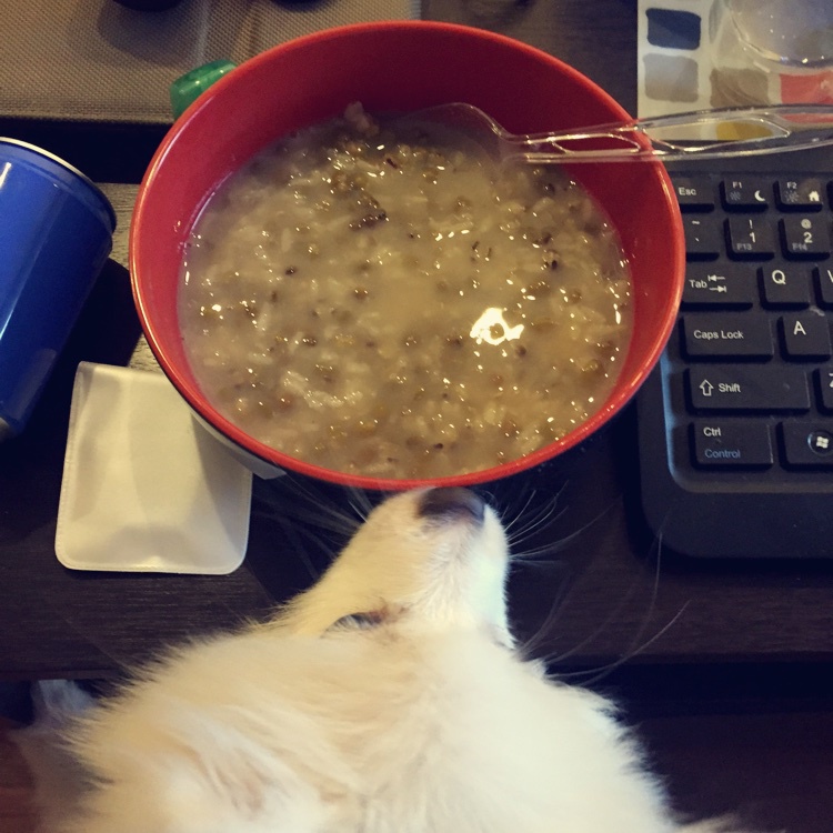 绿豆粥