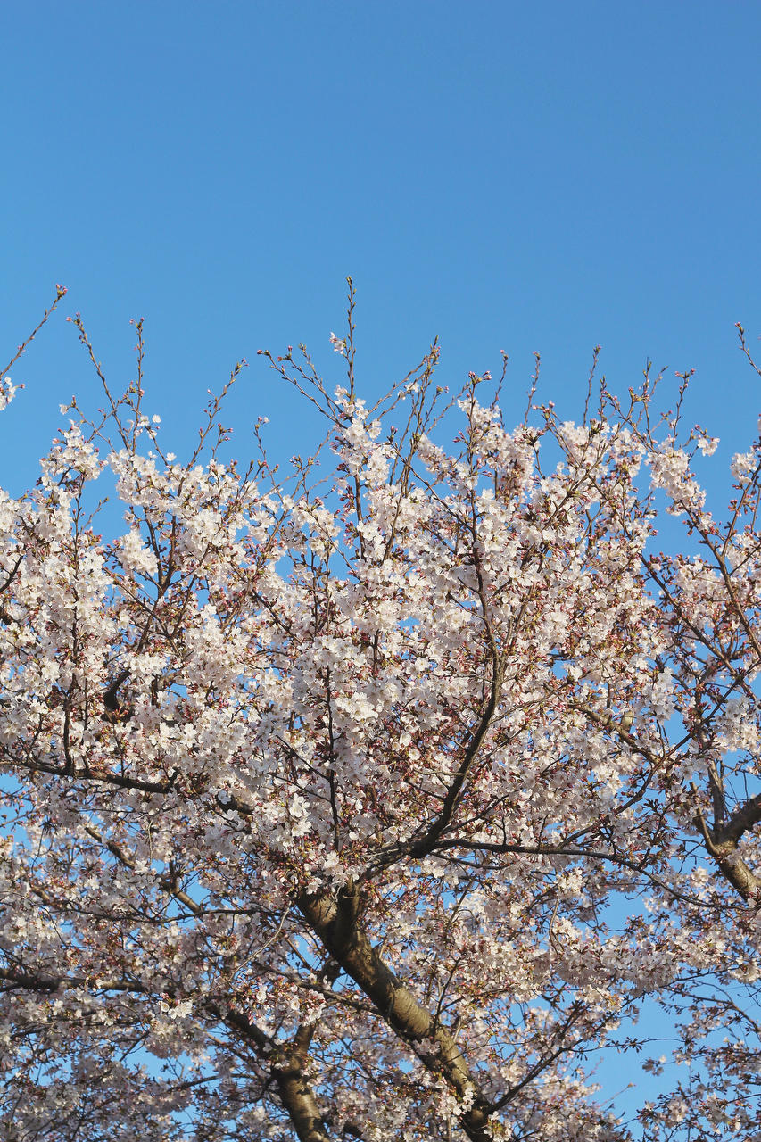 好女子温良恭俭让
