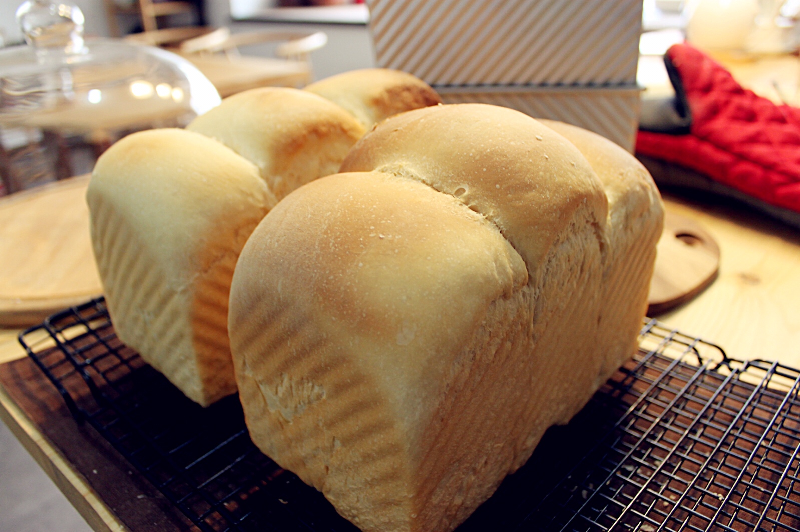 用烤箱烤面包--经典白吐司