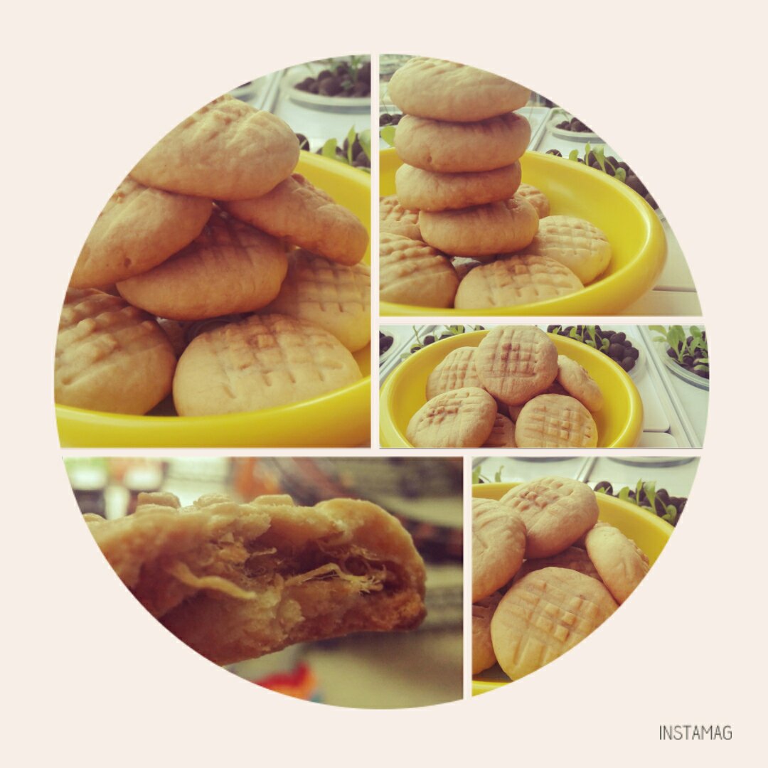 肉松饼干