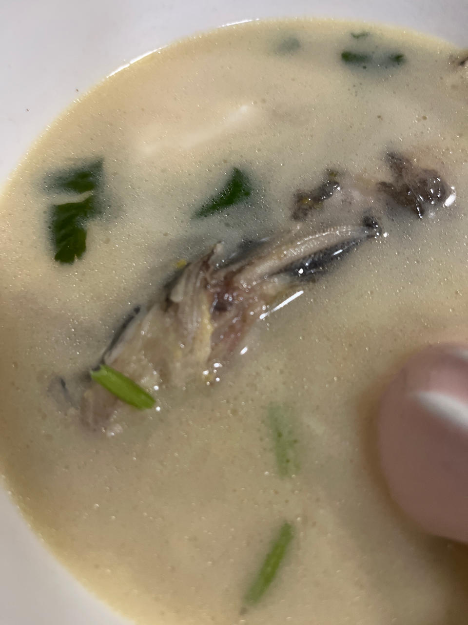 昂刺鱼豆腐汤（黄辣丁）