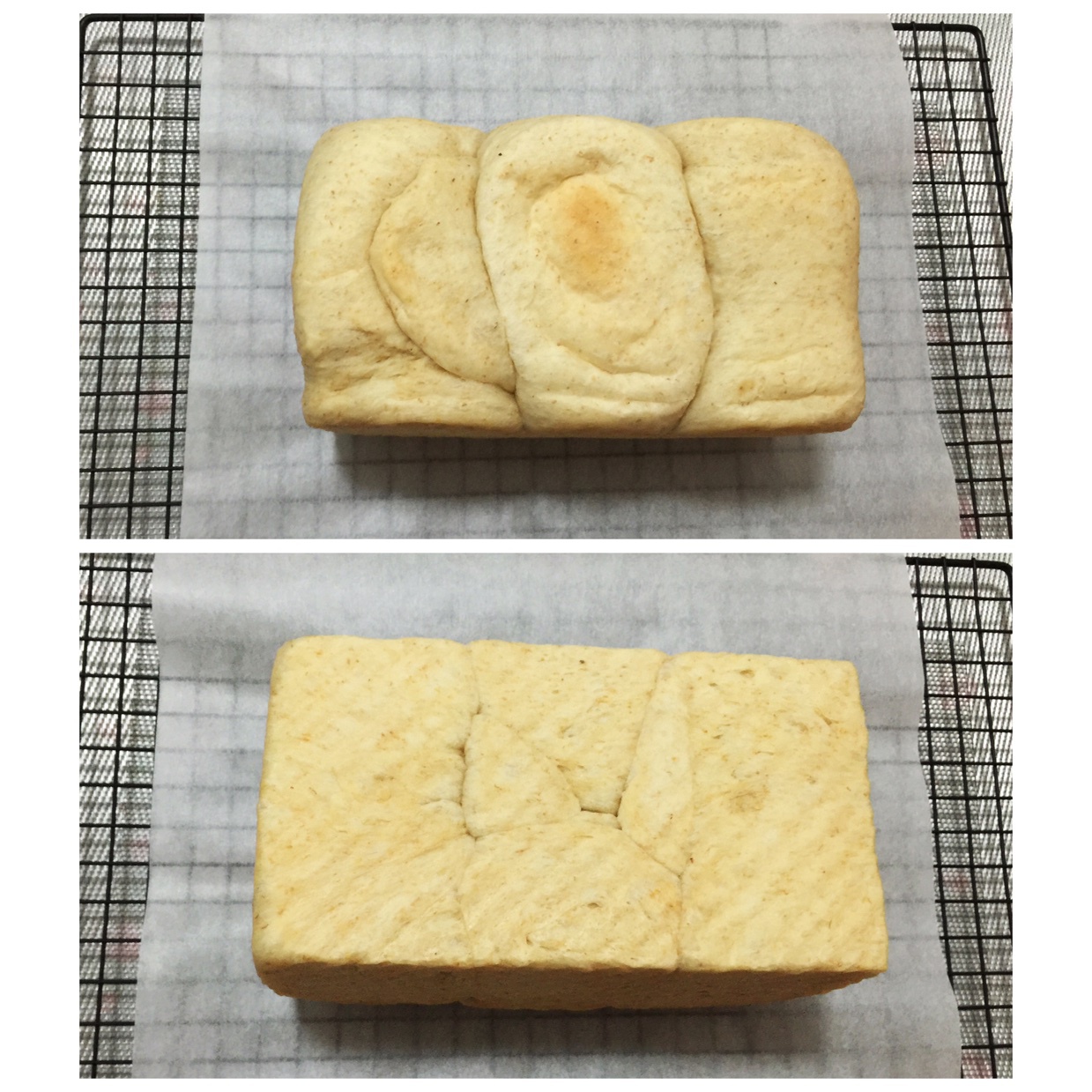 全麦土司