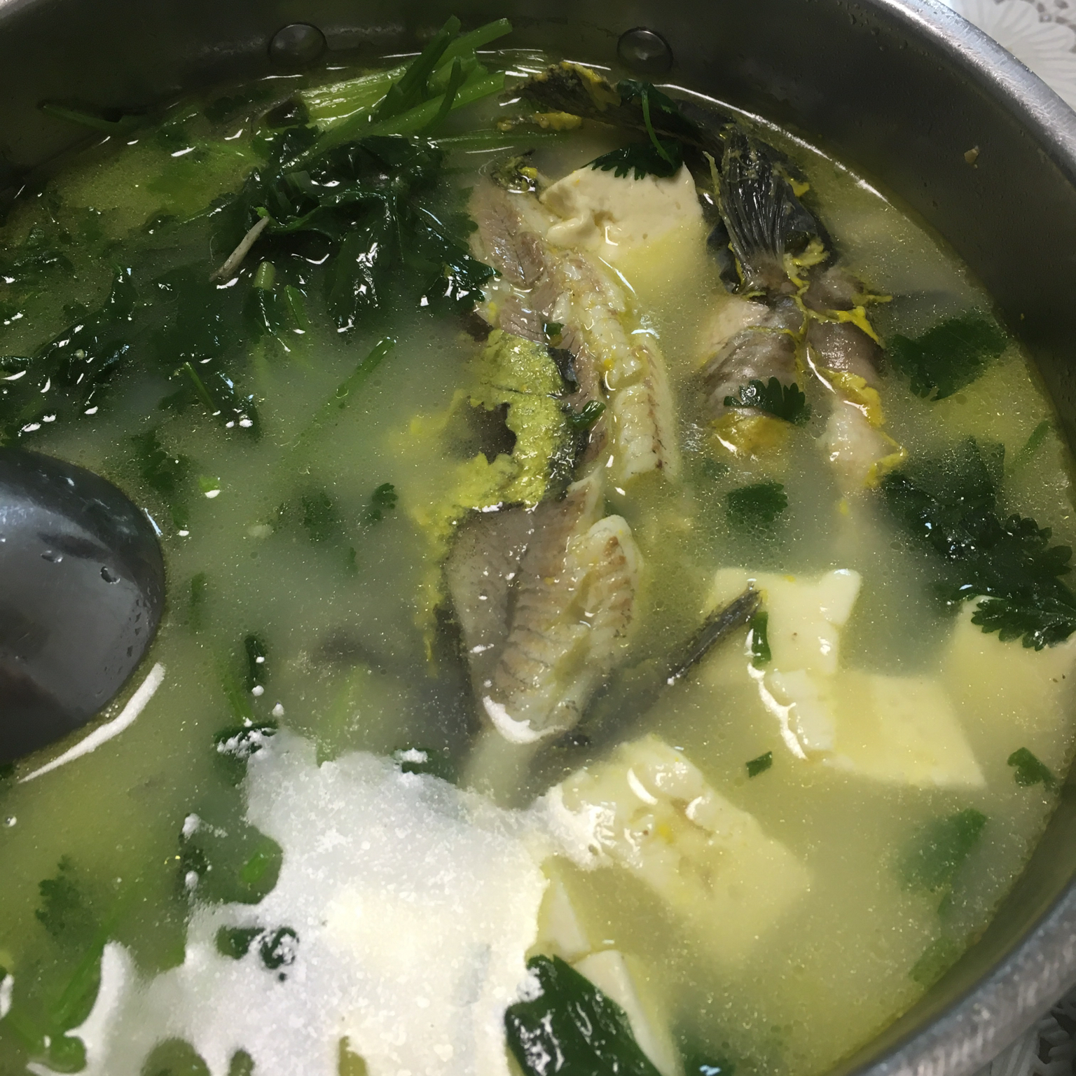 昂刺鱼豆腐汤