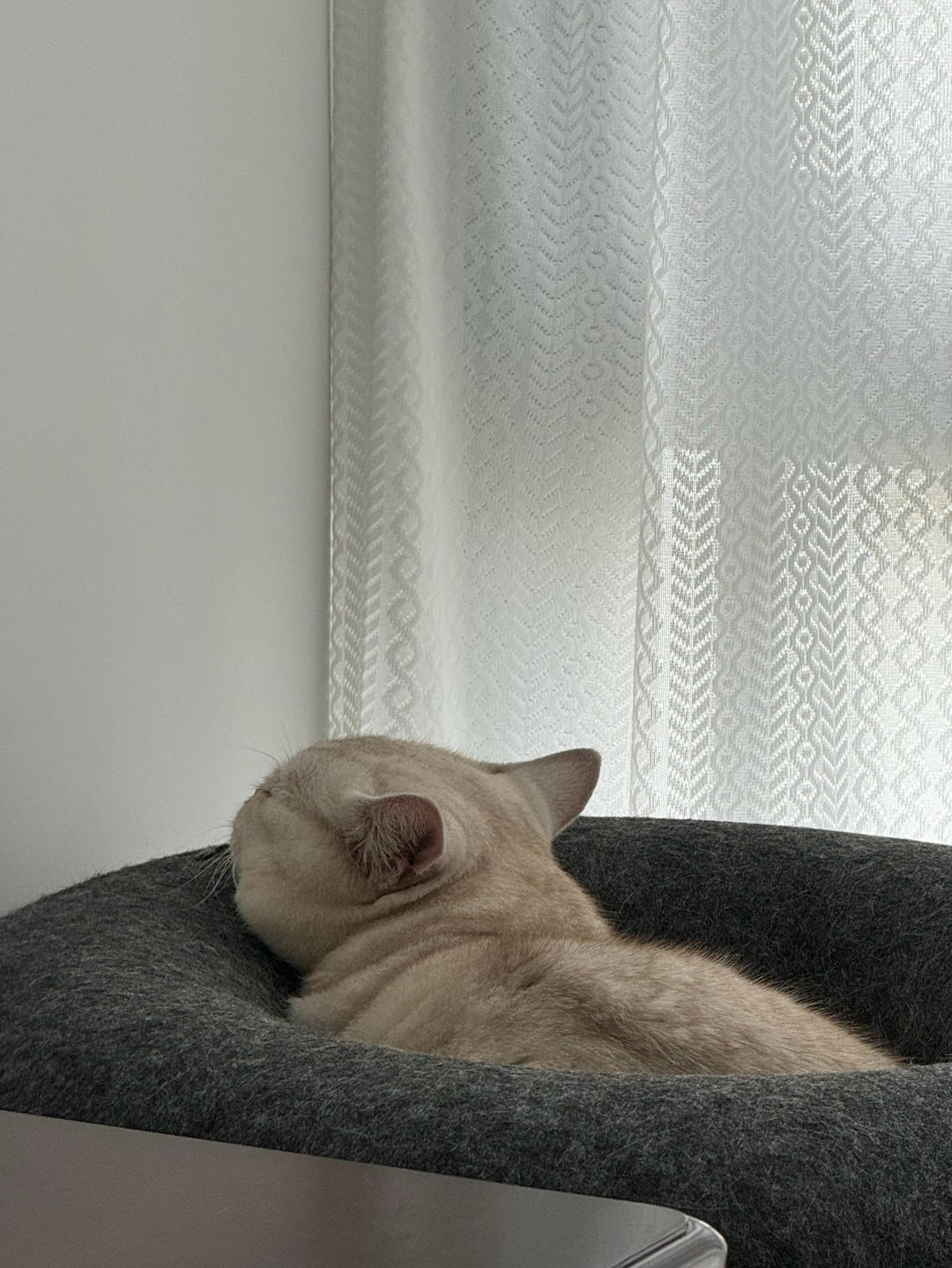 Loonxly