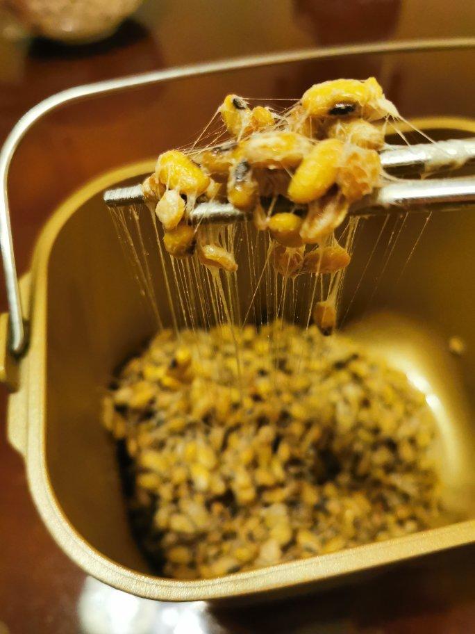自制纳豆（酸奶机，面包机，烤箱版）