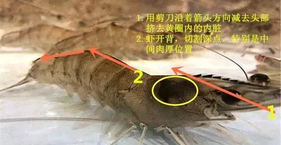 香脆家常菜油爆虾的做法 步骤1