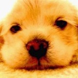 Rice_rice_make_it_work